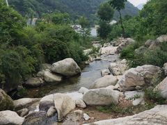 -王顺山国家森林公园