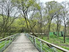 -西湖风景区-江洋畈生态公园