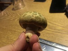 -菌海森林·非遗野生菌火锅(西山区滇池路摩根道店)