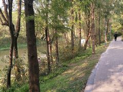 -新江湾城公园