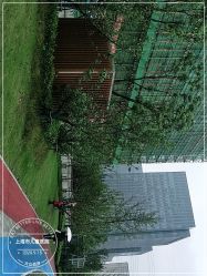 -上海市儿童医院(泸定路院区)