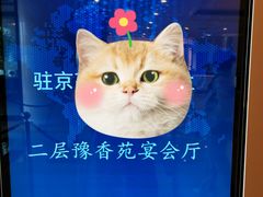 -北京河南大厦酒店