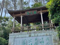 -千岛湖东南湖区