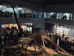 -自贡恐龙博物馆