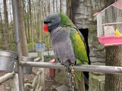 -昆山城市生态森林公园