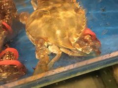 -臻鲜燕海鲜融合餐厅(金陵style店)