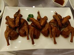 沙田乳鸽-宝燕壹号(徐汇店)
