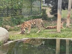 -泉州海丝野生动物世界