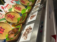-裕龙汤泉