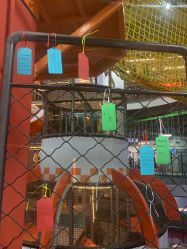 -嗨翻Hi-Fun竞技主题乐园·蹦床团建生日聚会(五棵松华熙店)