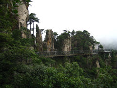 IMG_2572-大明山自然探索公园