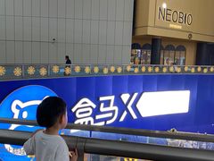 -盒马X会员店(王府井奥莱UP TOWN店)