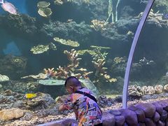 -华夏文旅海洋公园