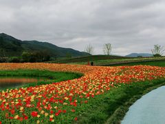 -径山花海