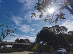 -广州市帽峰山景区