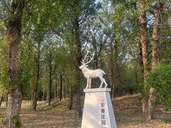 -林栖谷森林康养度假区