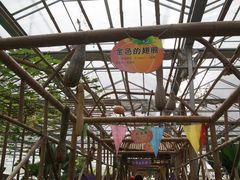 景点-观光南瓜园