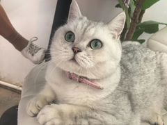 -VOYAGE COFFEE(北锣鼓巷店)