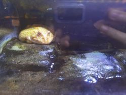 -酷嗒动物文化乐园(cutezoo西溪乐天城店)