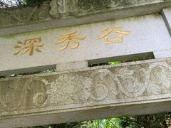 -四明山国家森林公园