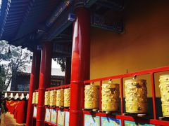 -西安市广仁寺