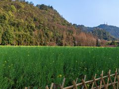 -贵阳市花溪国家城市湿地公园