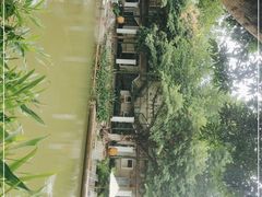 -喜洲吧·江畔老船厂·庭院餐厅(喜临院店)