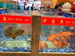 -顺峰(南二环店)