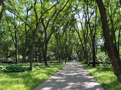 -玲珑塔公园