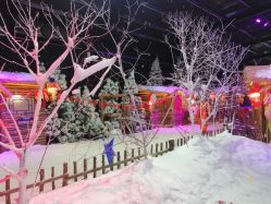 -圣名游乐城冰雪大世界
