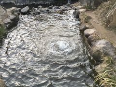 -大围山国家森林公园