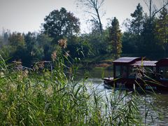 -溱湖国家湿地公园