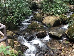 -莫里热带雨林景区