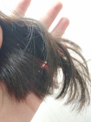 -T.1 hair salon烫染接发