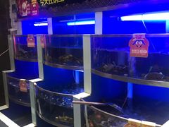 -七欣天(杭州信义坊店)