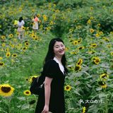 重庆夏天去哪里? || 北碚区向日葵免费拍照