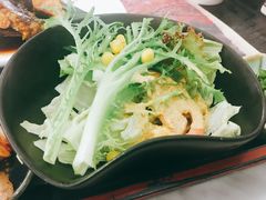 沙拉-红叶日料·放题·海胆·定食(星海店)