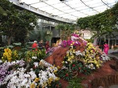 -北京植物园-展览温室