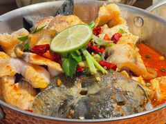 -菌自由丨野生菌火锅特色庭院餐厅(丽江古城店)