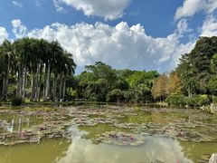 -中国科学院西双版纳热带植物园