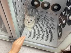 -FAELING PETS美天灵宠物(富力广场店)