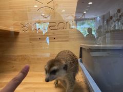 -平行世界·猫咖(首经贸店)