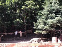 -哈尔滨北方森林动物园