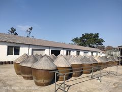 -苏州市吴中区光福窑上花果蜜饯厂