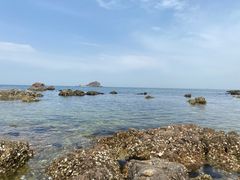 -养马岛旅游度假区