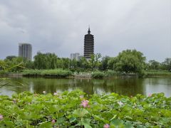 -西海子公园