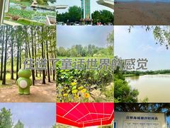 -日照海滨国家森林公园