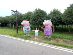 -武汉紫薇都市田园