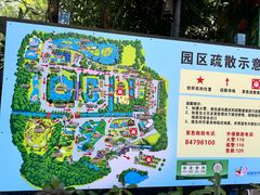 -广州长隆飞鸟乐园