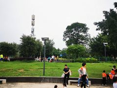 -飞来湖湿地公园